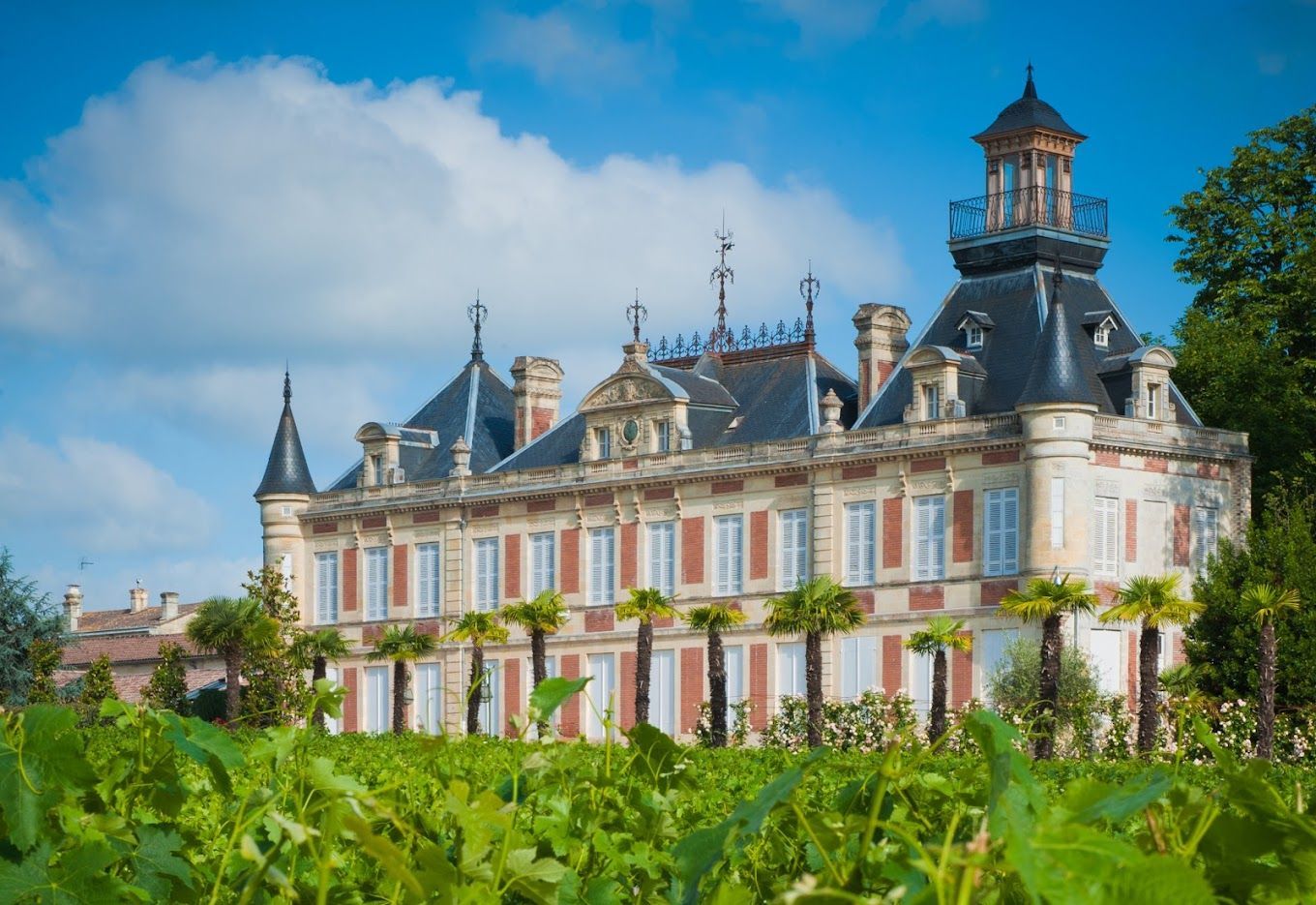 Les vins de Bordeaux