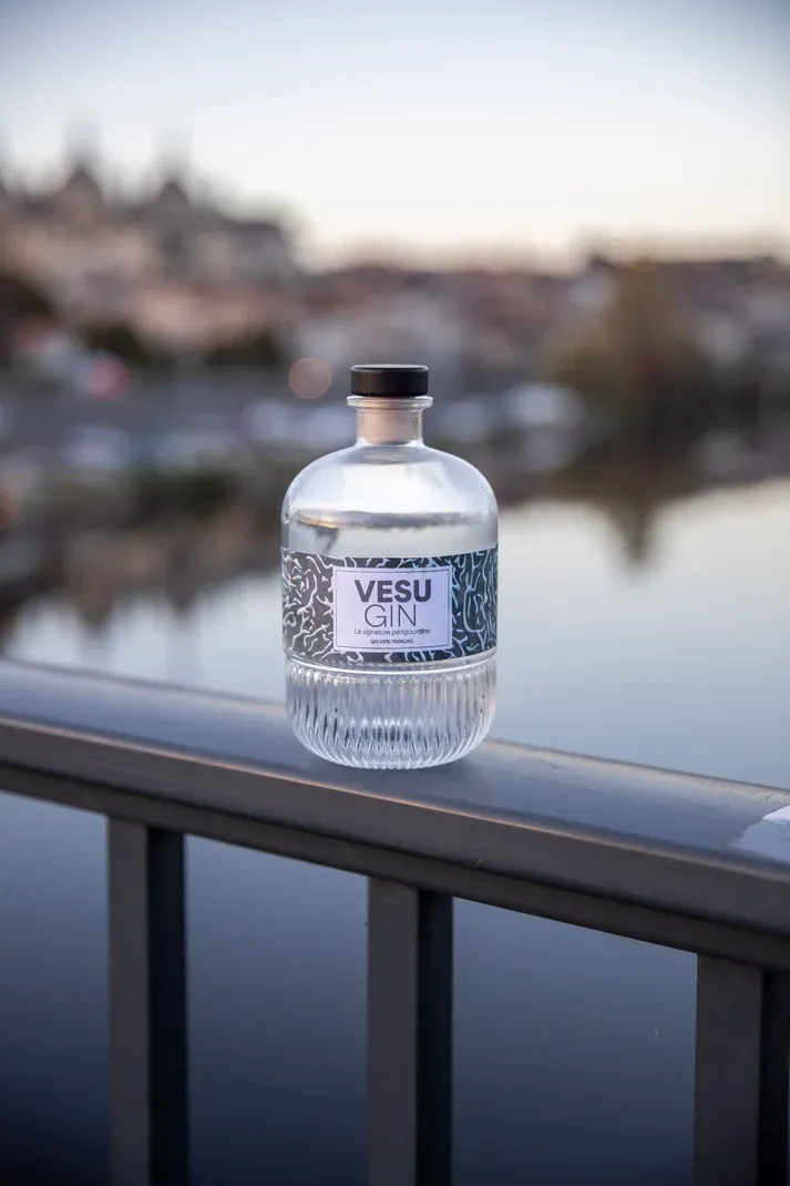 VESU'Gin 