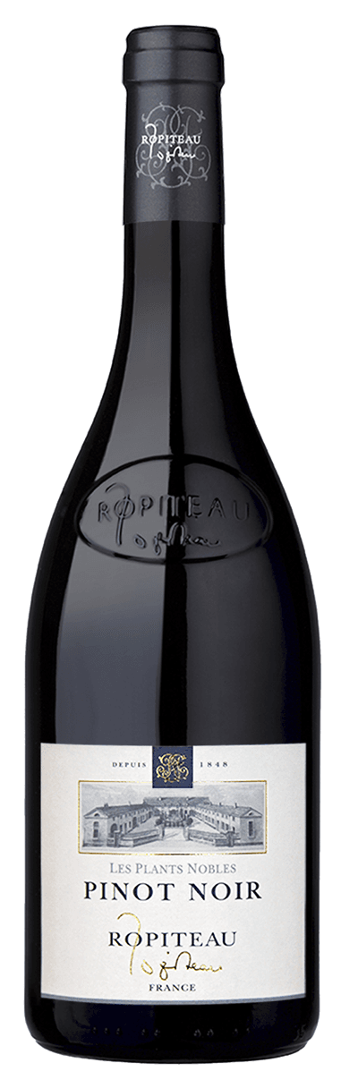 Ropiteau Pinot Noir Les Plants Nobles