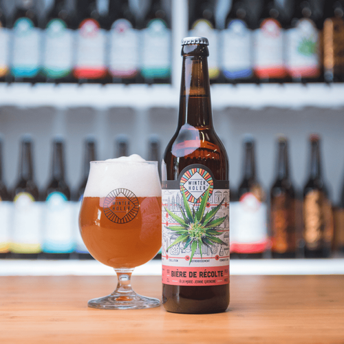 Winterholer - Bière au CBD